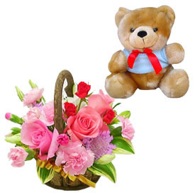 Beary Surprise (Midnight)