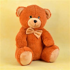 Brown Teddy 12 Inch