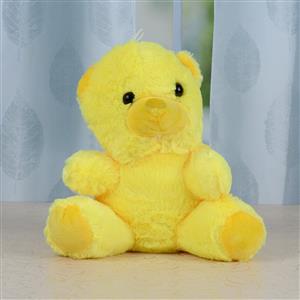 Adorable Yellow Teddy