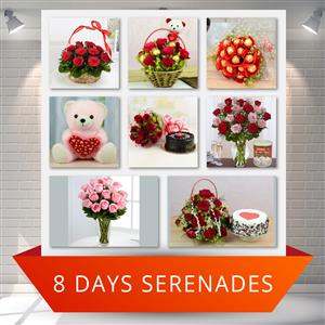 8 Day Valentine Roses Serenade