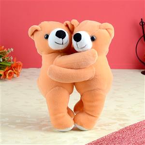 Brown Hug Teddy