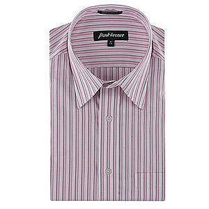 Park Avenue Elegant Striped Shirt