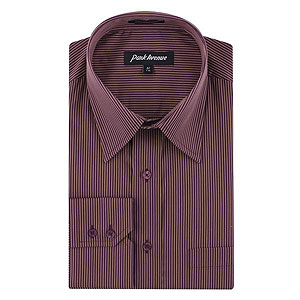 Park Avenue  Formal Striped Shirt