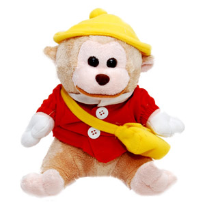 Cute Monkey