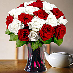  24 Red & White Roses 
