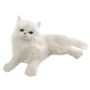 Kitty Kitty