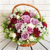 Exclusive Basket