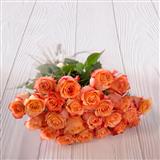 24 Roses Bunch