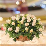 100 Roses Basket
