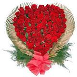 50 Heart Shape Roses