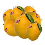 24 Pieces of Alphanso Mango