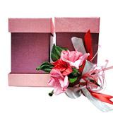 Send A Set Box to India