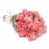 Pink Surprise (Midnight)
