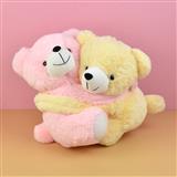 Pair of Hugging Teddy