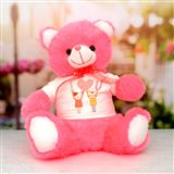 I Love You Art Pink Teddy