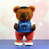 Cheerful Brown Teddy