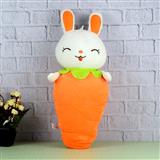 Carrot And Bunny