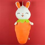 Sweet Bunny In Carrot