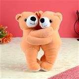 Brown Hug Teddy