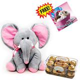 Send Cute Jumbo Hamper to India