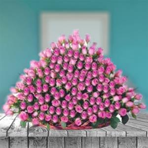 Bloom