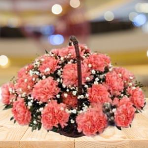 12 Orange Carnations