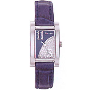 Sleek Titan Watch