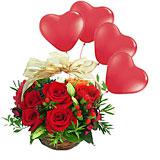 Roses