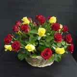 Send Stunning Arrangement of Roses Roses to Pondicherry Send Stunning Arrangement of Roses Roses to Pondicherry