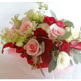 Send Endless Love bouquet Flowers to Hariyal Send Endless Love bouquet Flowers to Hariyal