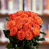 Send 12 Orange Roses Bunch Flowers to Petlad Send 12 Orange Roses Bunch Flowers to Petlad
