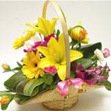 Send Beautiful Flower Basket Flowers to Padra Send Beautiful Flower Basket Flowers to Padra
