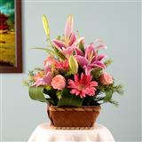 Send Lovely Pink Flowers Exotic Arrangements to Vellore Send Lovely Pink Flowers Exotic Arrangements to Vellore