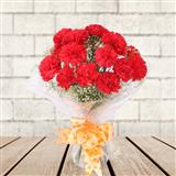Send Lovely Red Carnations Flowers to Gangtok Send Lovely Red Carnations Flowers to Gangtok