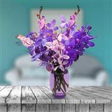 Send Romance Orchids Flowers to Petlad Send Romance Orchids Flowers to Petlad