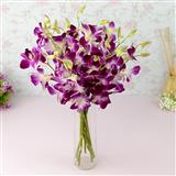 Send Mistine Dendrobium Orchids Flowers to Fatehpur Send Mistine Dendrobium Orchids Flowers to Fatehpur