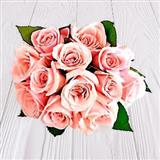 Send 12 Alluring Peach Roses Flowers to Vapi Send 12 Alluring Peach Roses Flowers to Vapi