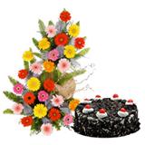 Send Gerberas N Cake Gift Hampers to Mysore Send Gerberas N Cake Gift Hampers to Mysore