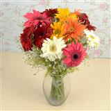 Send Joyful Flower Arrangement Flowers to Visnagar Send Joyful Flower Arrangement Flowers to Visnagar
