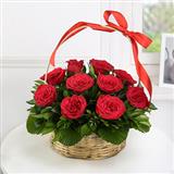 Send Mirabel Flowers to Dholera Send Mirabel Flowers to Dholera