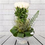 Send Pure White Roses Flowers to Mysore Send Pure White Roses Flowers to Mysore