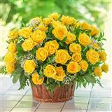 Send Fresh Yellow Roses in Basket Flowers to Sangrur Send Fresh Yellow Roses in Basket Flowers to Sangrur