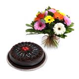 Send Chocolate Cake With Gerberas Gift Hampers to Pinjore Send Chocolate Cake With Gerberas Gift Hampers to Pinjore
