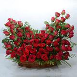 Send Vibrant Red Roses in an Oval Shaped Basket Rose Day 07 Feb - Rose Day to Pinjore Send Vibrant Red Roses in an Oval Shaped Basket Rose Day 07 Feb - Rose Day to Pinjore