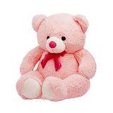 Send Pink Teddy Bear (Express Delivery) Same Day Delivery to Bhaktal Send Pink Teddy Bear (Express Delivery) Same Day Delivery to Bhaktal