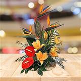 Send Exotic Beauties Flowers to Alwar Send Exotic Beauties Flowers to Alwar