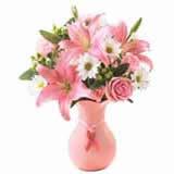 Send Pleasant Beauty Flowers to Vapi Send Pleasant Beauty Flowers to Vapi