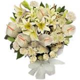 Send Soft Feelings Condolence to Visnagar Send Soft Feelings Condolence to Visnagar
