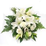 Send Eternal Emotions Condolence to Daman Send Eternal Emotions Condolence to Daman
