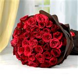 Send Exclusive Hot Red Roses Flowers to Panchmahal Send Exclusive Hot Red Roses Flowers to Panchmahal